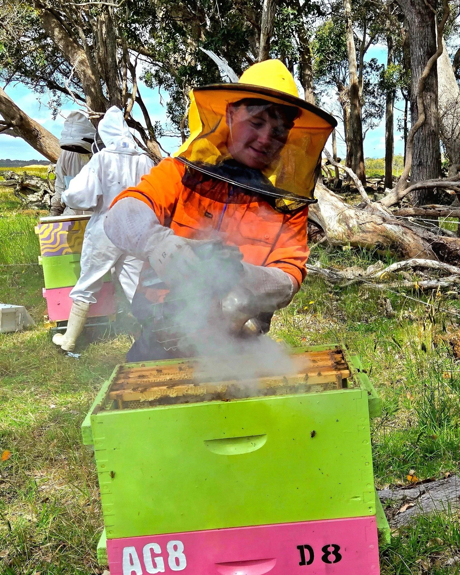 🍯 This week we harvested our first honey for the season!

Our Year 10 students got hands-on in the process &mdash; collecting full honey frames, extracting the beautiful raw honey, and returning the frames to the bees for a refill. 🐝

For many, it 