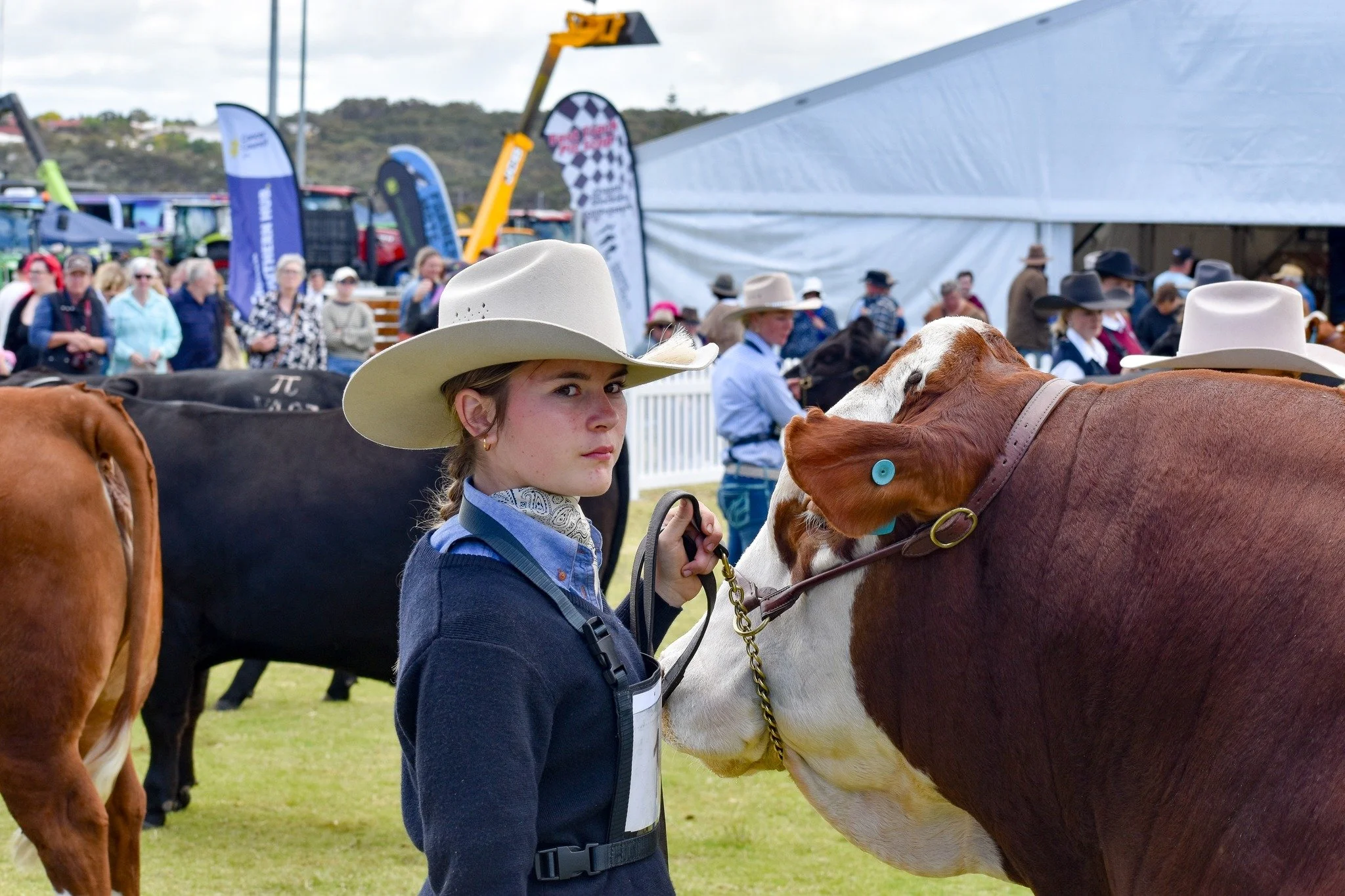 🌟2025 Albany Show🏆

This year&rsquo;s Albany Show was another strong event for our staff and students. Livestock and equipment were taken to the grounds on Thursday, with everything set up ready for the weekend. The farm team took thirteen Simmenta