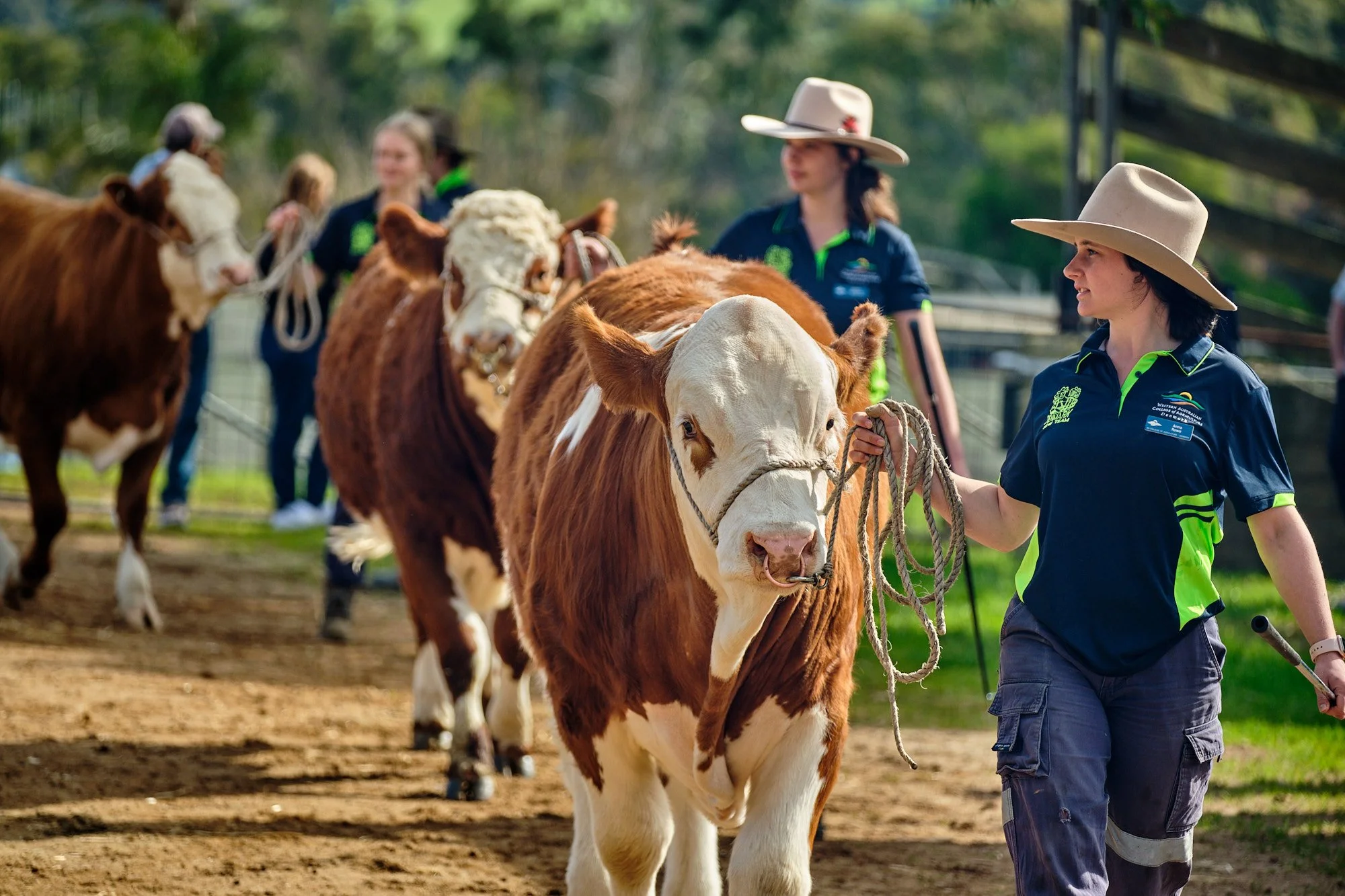 WACOA Denmark named a finalist in WA’s Small Training Provider of the Year!