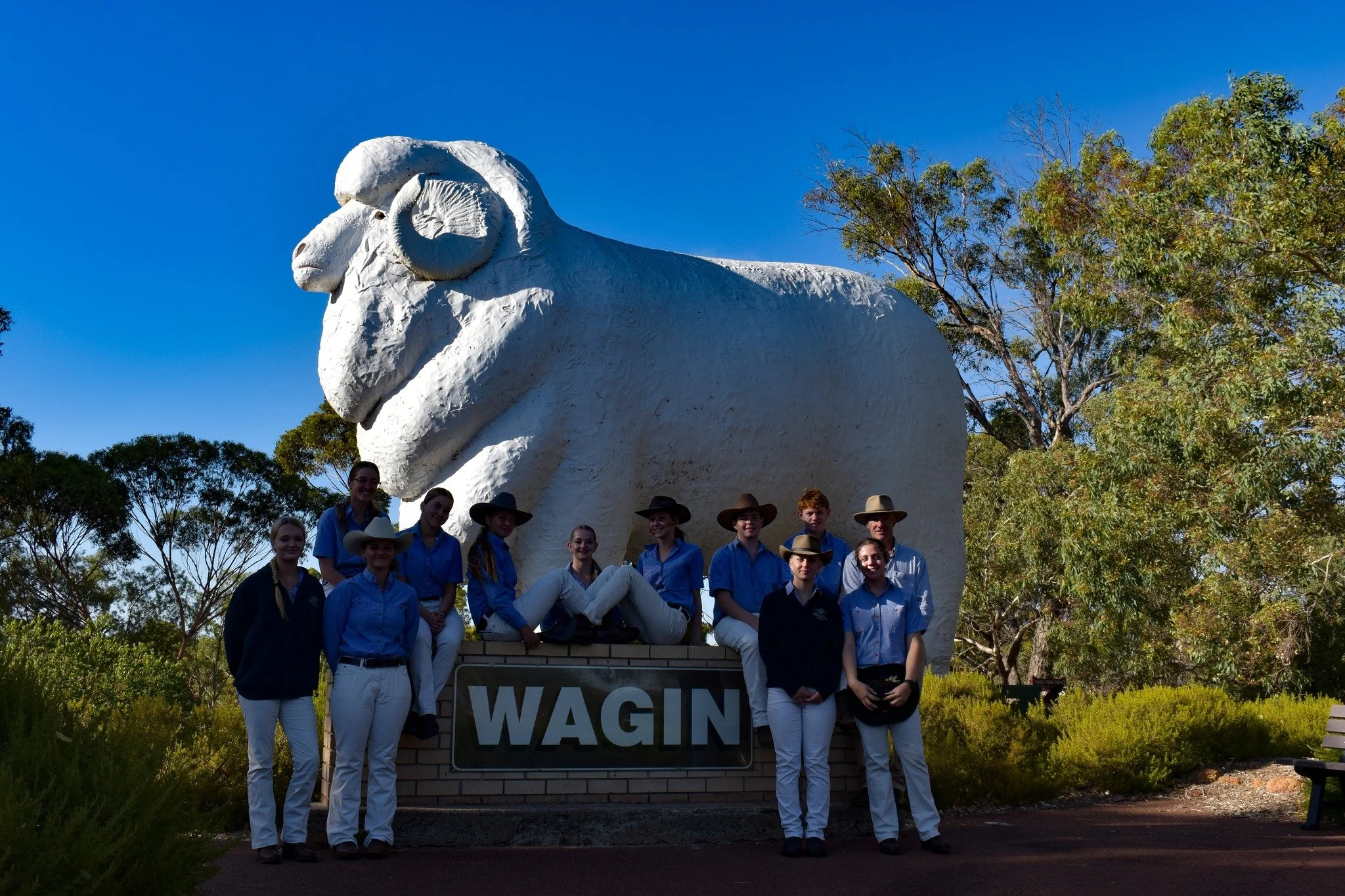 🐑 Wagin Woolorama 2026 🐑

Our Year 11 and Year 12 students recently travelled to the Wagin Woolorama on 6&ndash;7 March to take part in the Young Judges Championships, competing alongside students from across the state.

Events like Woolorama give 