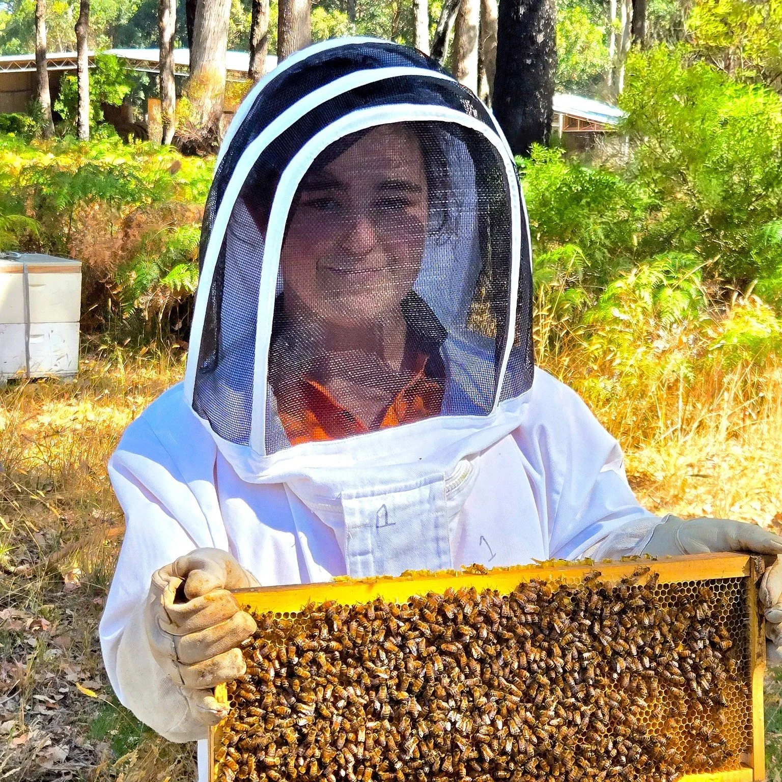 🐝🍯 Year 11 Rural Skills &ndash; Beekeeping &amp; Honey Harvest 🍯🐝 

Our Year 11 Rural Skills students have been busy working with the college&rsquo;s bee hives, building practical skills in beekeeping and hive management. From conducting hive che