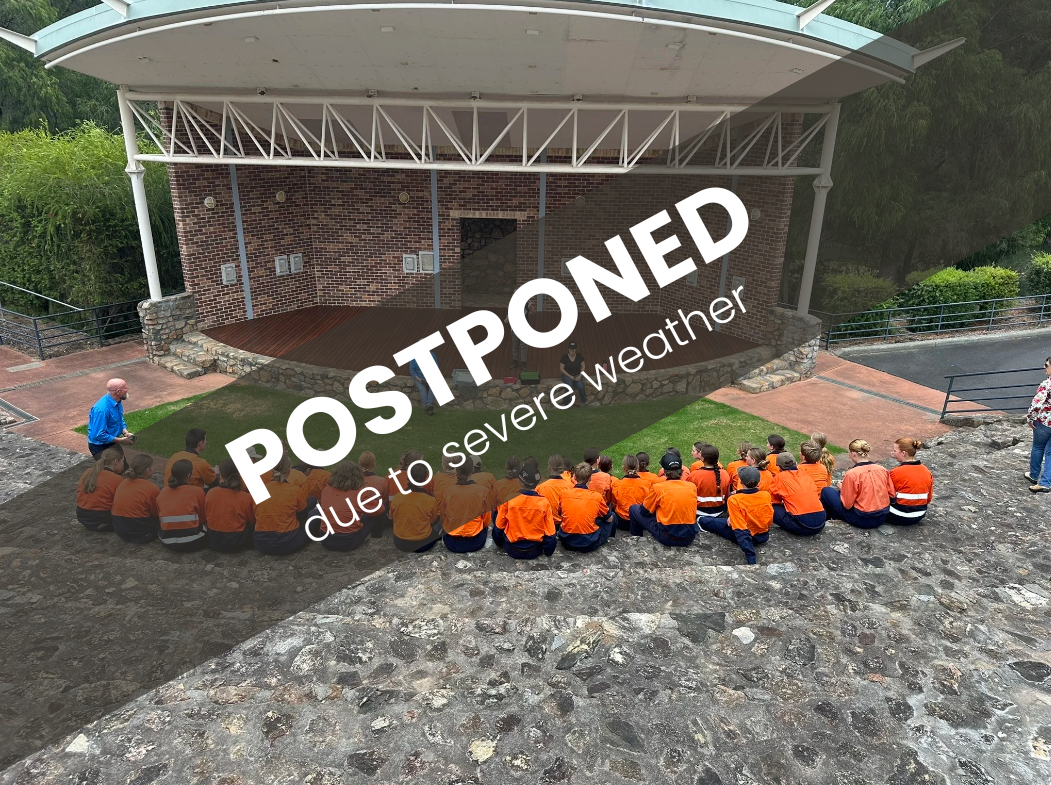 Year 11 & Year 12 University