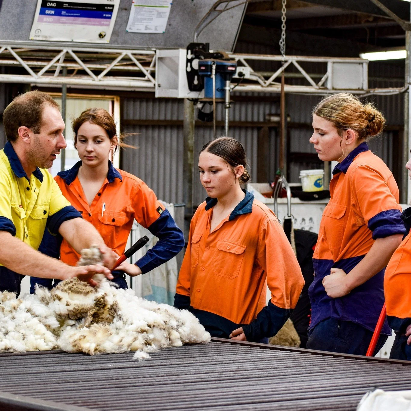 🐑 Shearing &amp; Wool Handling in Action 🐑

Mr Schulz and Mr Taylor showing our students how it&rsquo;s done in the shearing shed!

As part of their Certificate II in Agriculture, students are developing practical skills in shearing and wool handli