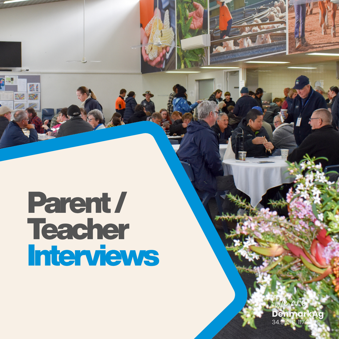 Parent / Teacher Interviews