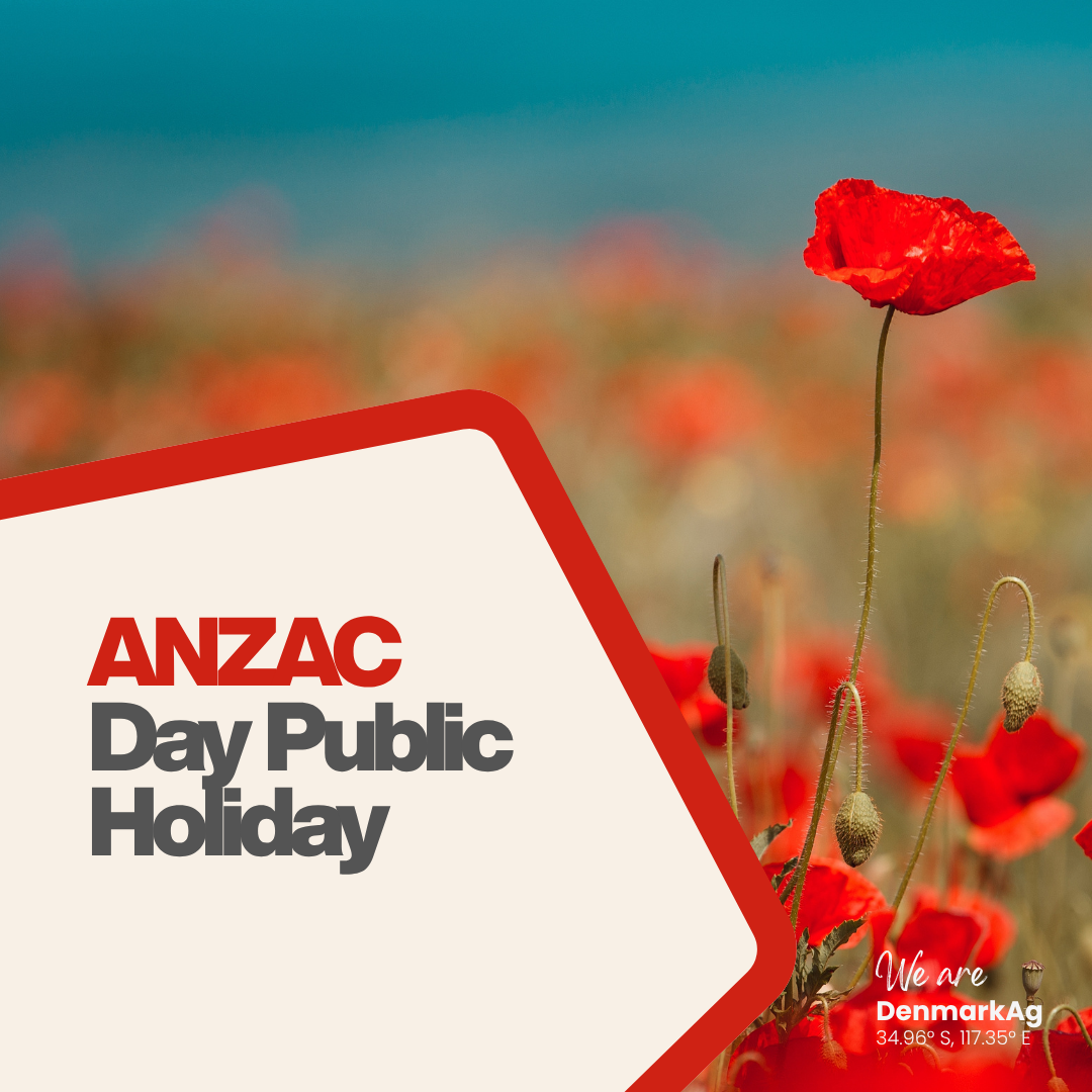 ANZAC Day Public Holiday