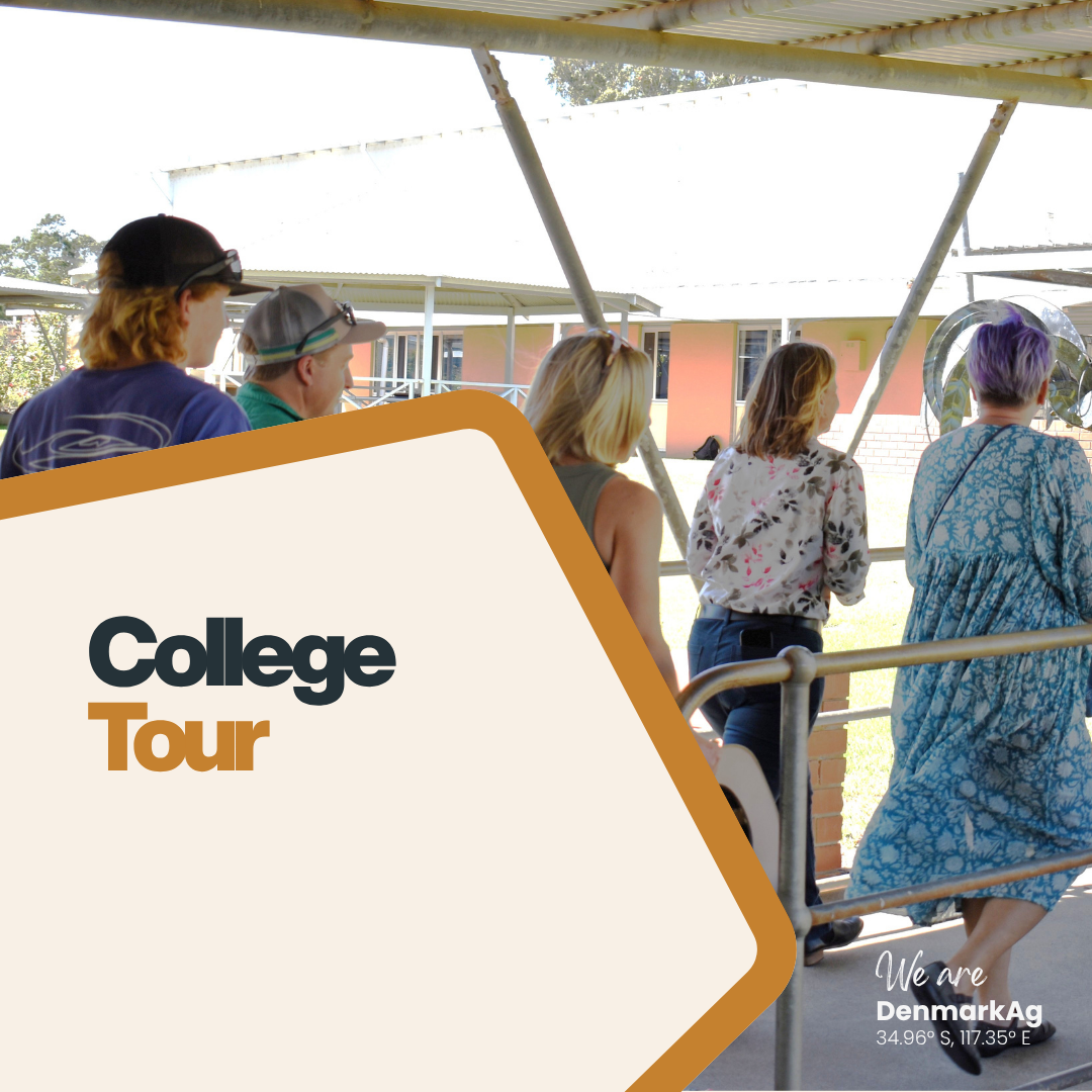 College Tour