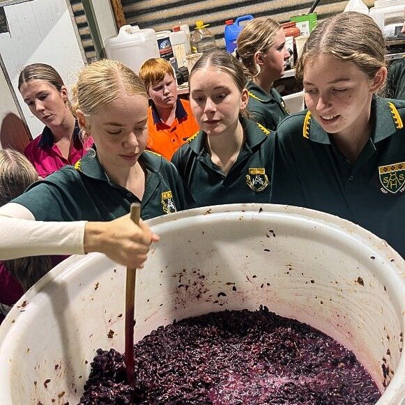 Great to welcome Year 9 students from Albany through the College this week 👏

Students from North Albany Senior High School and Albany Senior High School joined us for a Career Taster, getting a real feel for life at WA College of Agriculture &ndash