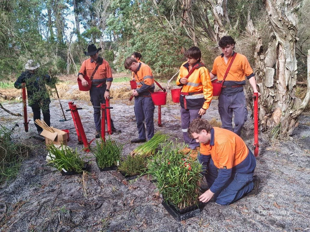 🌱🦜 Year 12 Students Supporting Local Biodiversity 🦜🌱

As part of a collaborative project with Shire of Denmark and Greenskills, our Year 12 Conservation and Ecosystem Management students recently planted 280 native tubestock plants at the Wetland