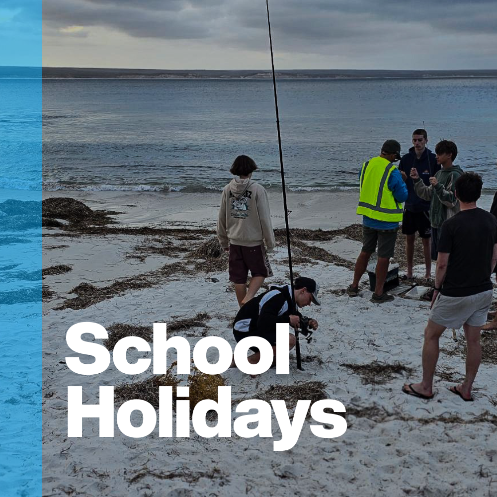 School Holidays