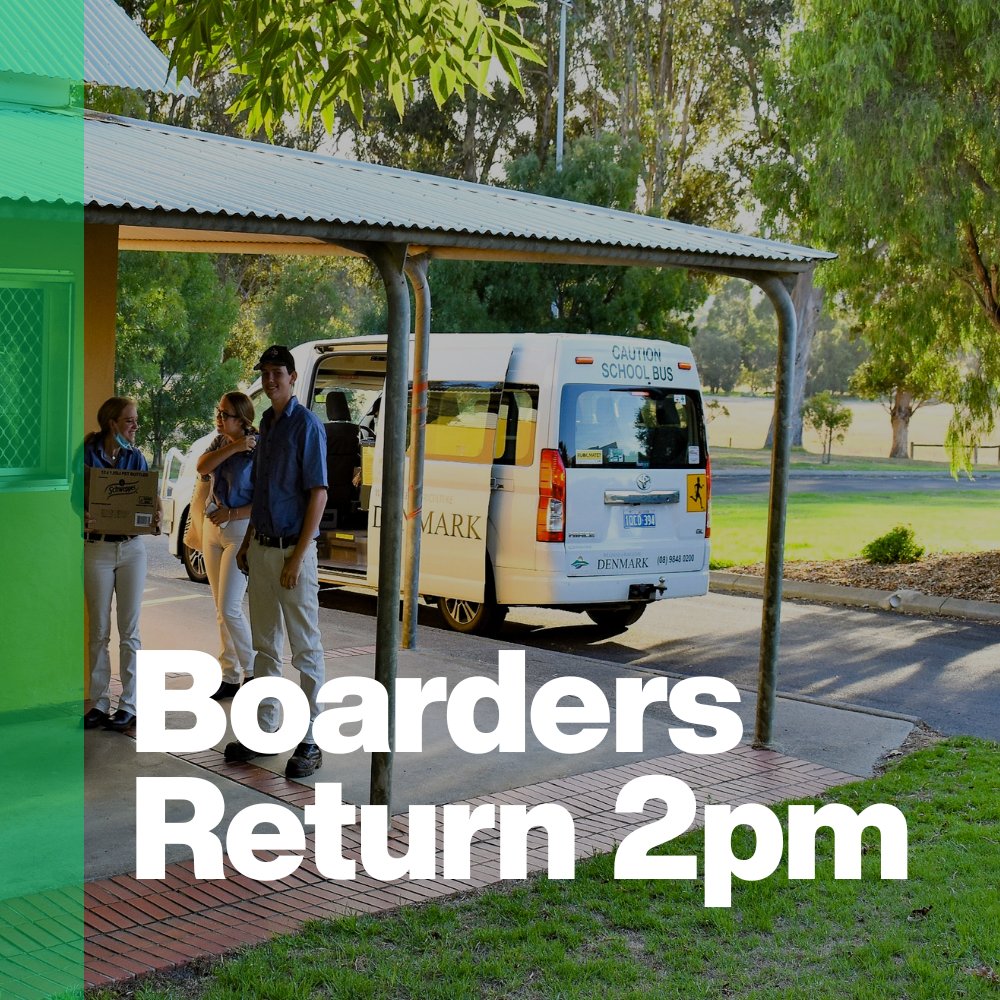 Boarders Return