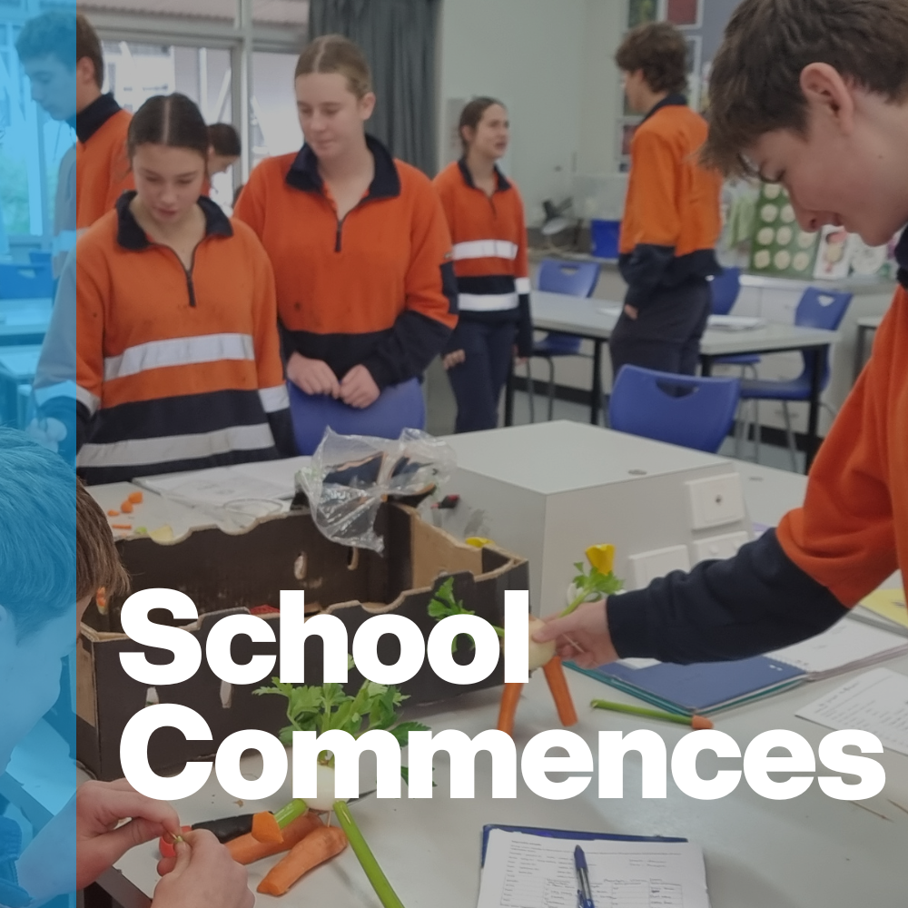 School Commences