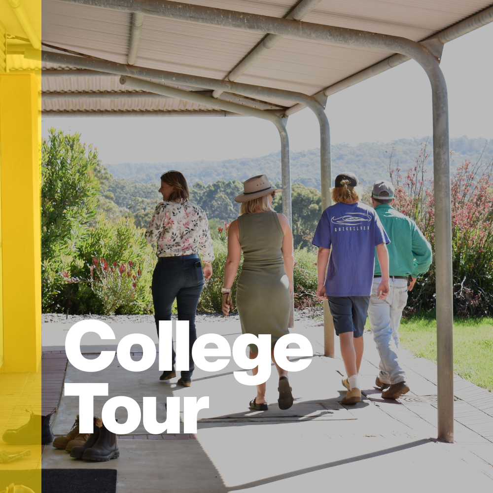 College Tour