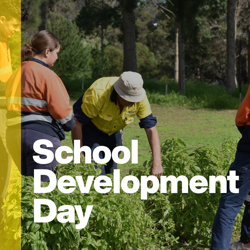 School Development Day