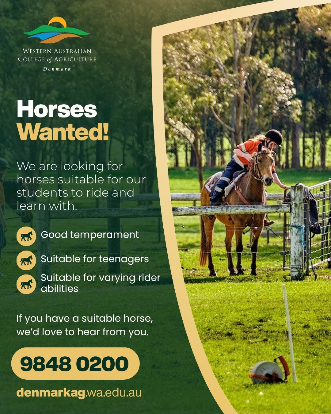 🐴 HORSES WANTED! 🐴

We&rsquo;re looking for suitable horses for our students to ride and learn with at WA College of Agriculture &ndash; Denmark.

Horses should have:
🐎 Good temperament
🐎 Be suitable for teenagers
🐎 Be suitable for riders with v