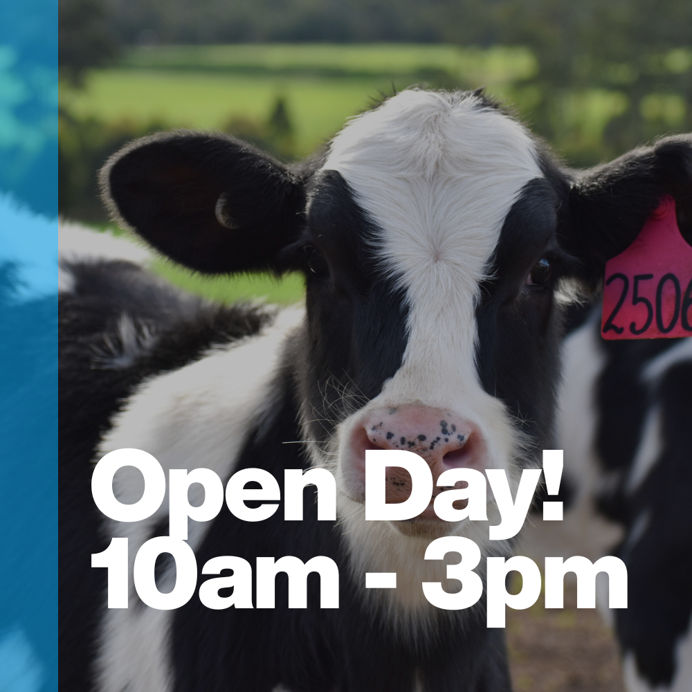 Open Day