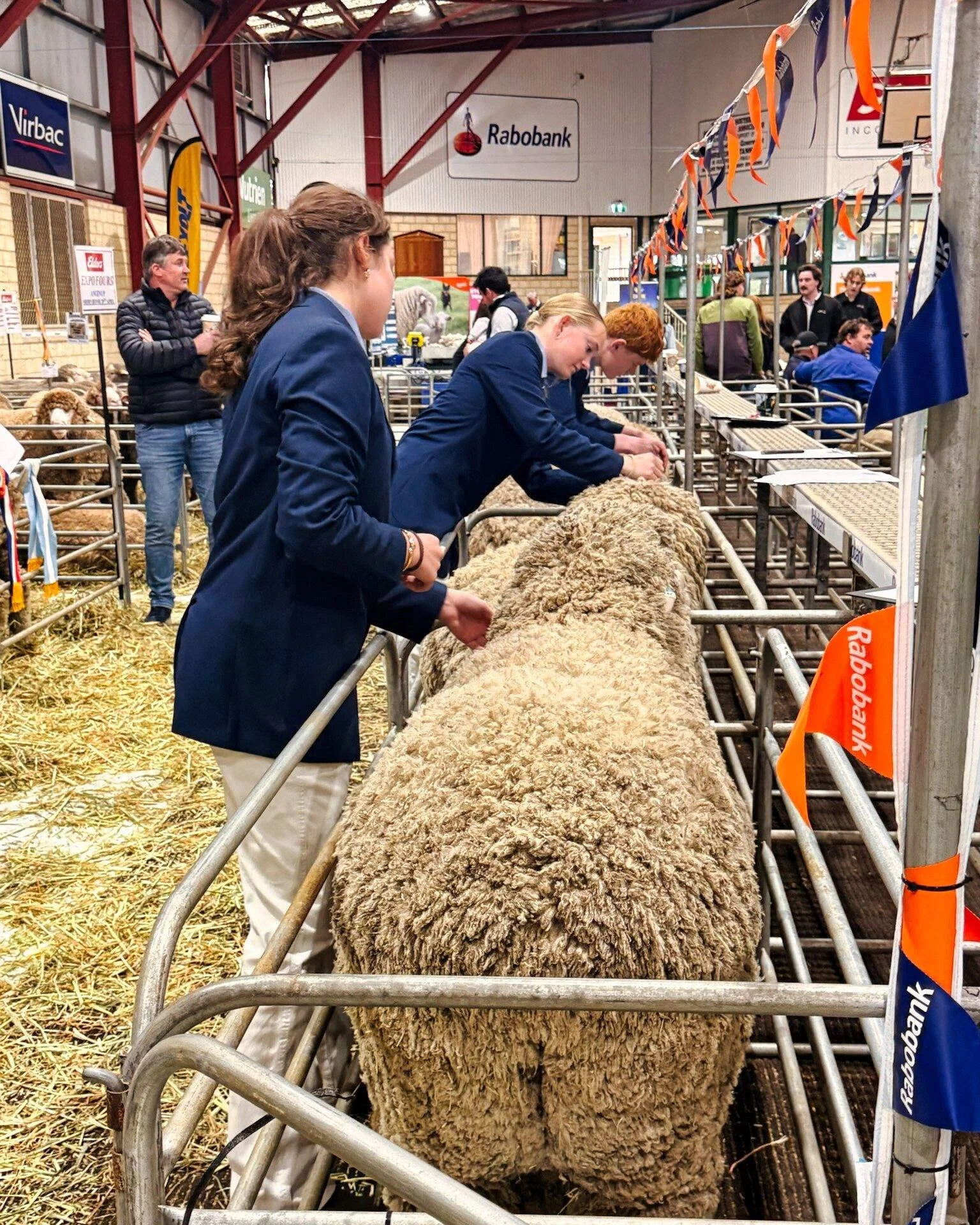 🐑🏆 SHEEP CLUB SUCCESS! 🏆🐑

We are thrilled to announce that our Sheep Club team travelled to Katanning last week to compete in the Patmore Feeds Merino Judging Challenge &mdash; and came home as Champion Team! 🎉

Congratulations to Louis Ford, S