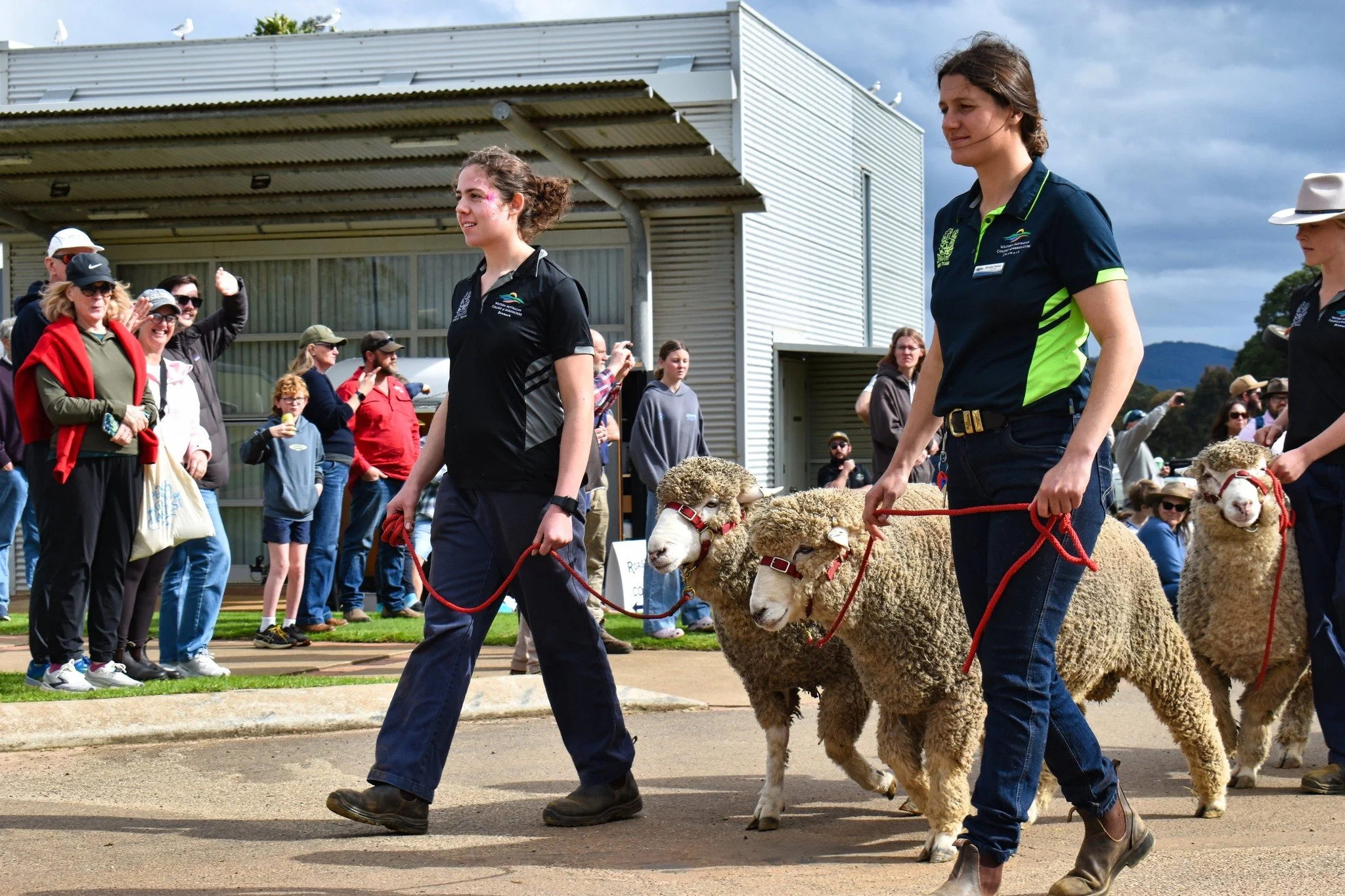 🌱 That&rsquo;s a wrap on Open Day 2026! 🎉

What a fantastic day we had at WA College of Agriculture &ndash; Denmark! Thankfully, the weather held out, and we were able to enjoy a great day of activities, demonstrations, displays and plenty of oppor