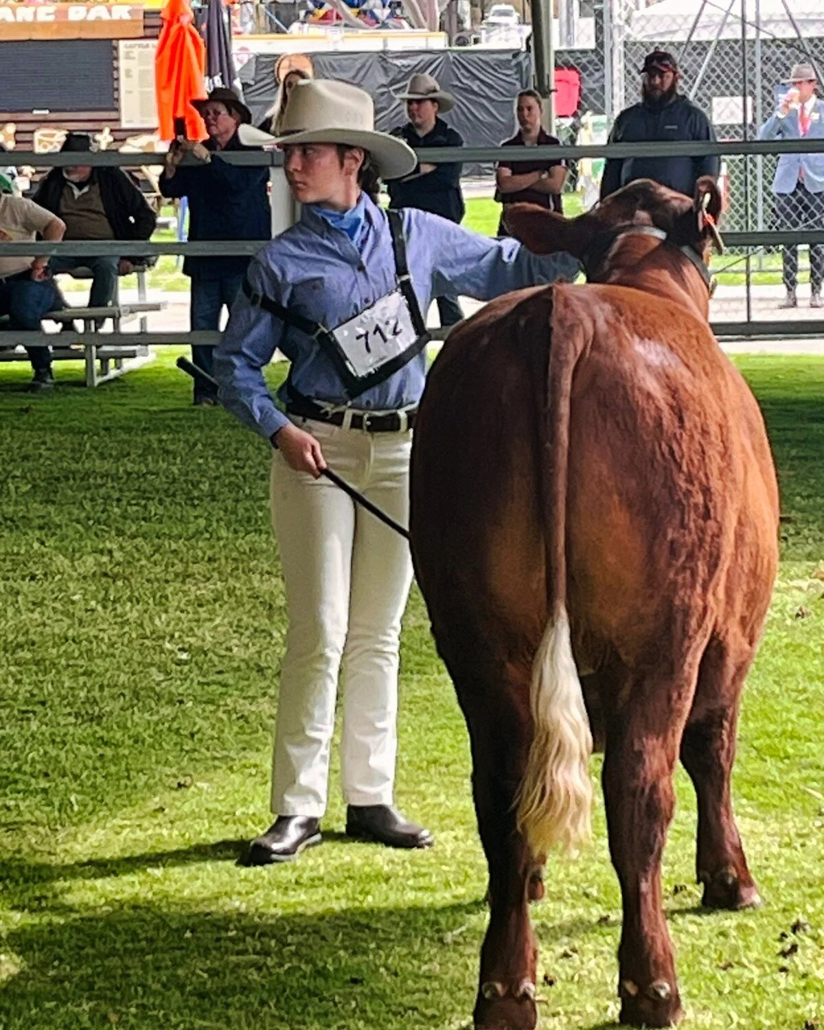 🐑🐄 2026 PERTH ROYAL SHOW UPDATE 🏆

After a very busy few days, our Denmark Sheep and Cattle Clubs are heading home from the Perth Royal Show.

The College has once again had a fantastic experience competing in Farm Skills, sheep and cattle events,