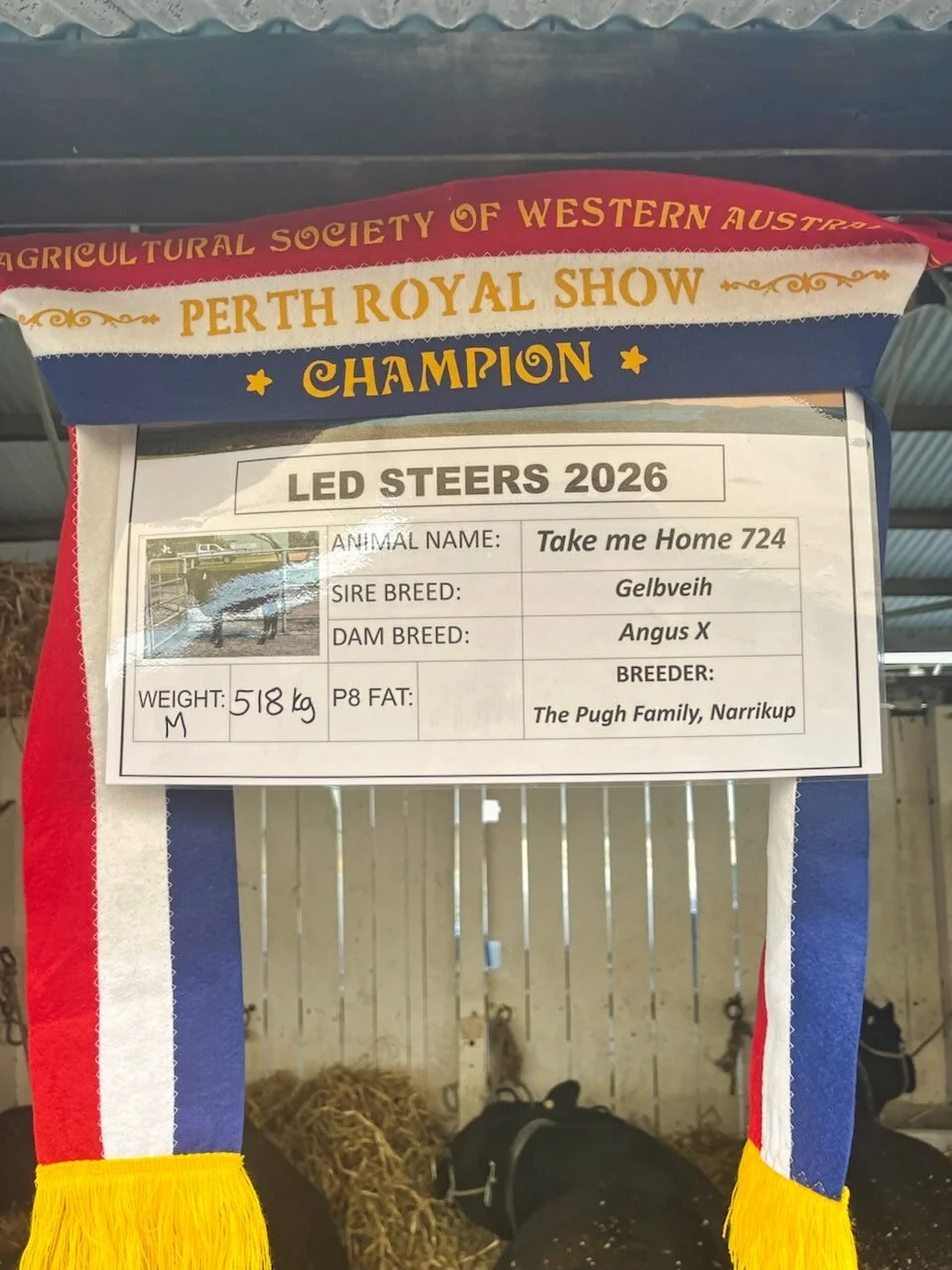 1000001810.jpg