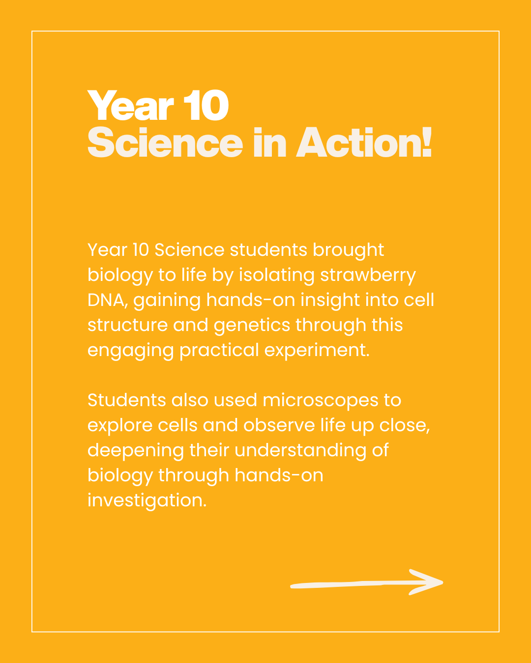 Year 10 Science Photo Reel.png