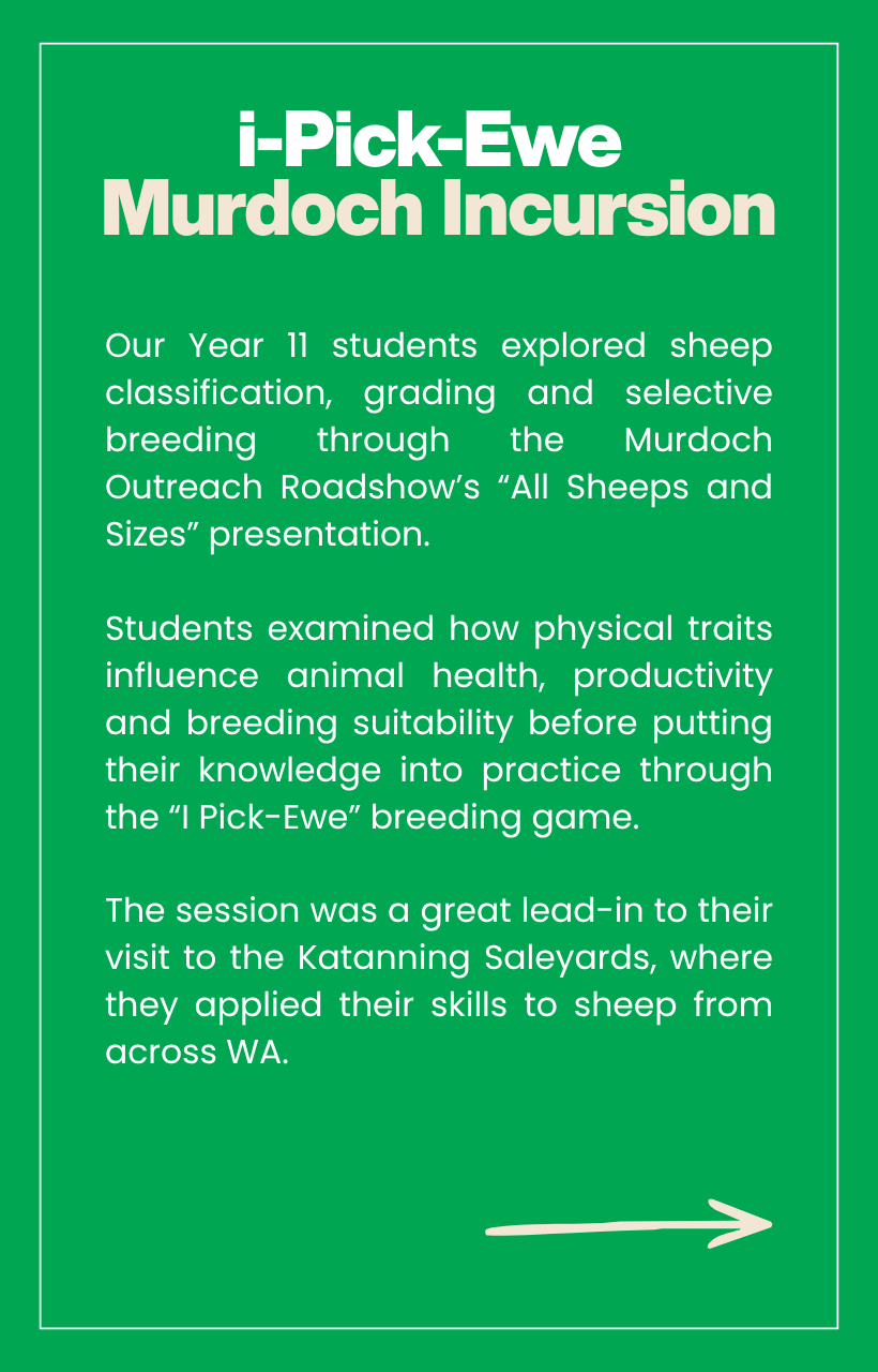 i-Pick-Ewe.png
