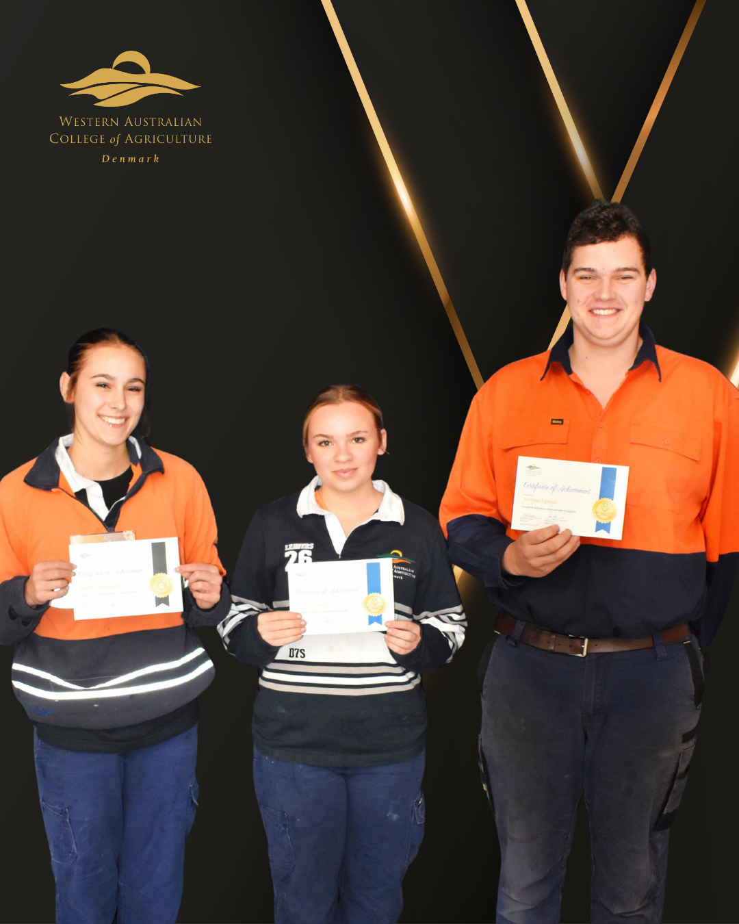 Year 12 Student Success - 1 (2).png
