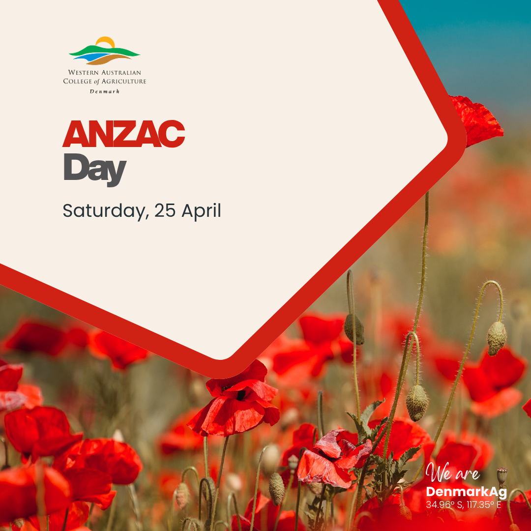 ANZAC Day Long Weekend