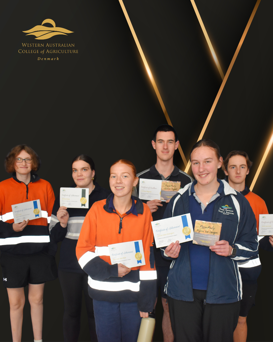 Year 11 Student Success - 2.png