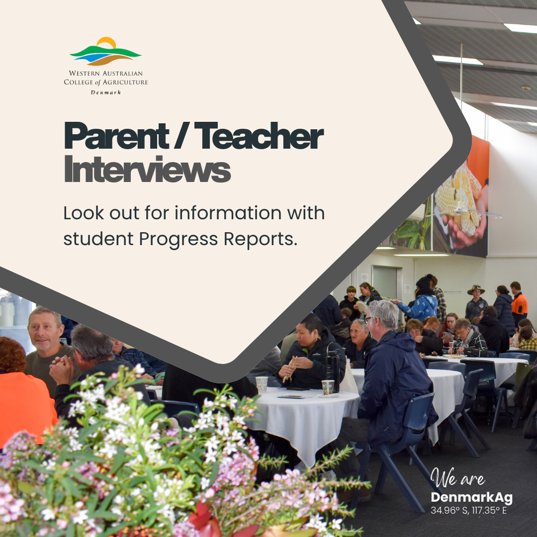 Parent / Teacher Interviews