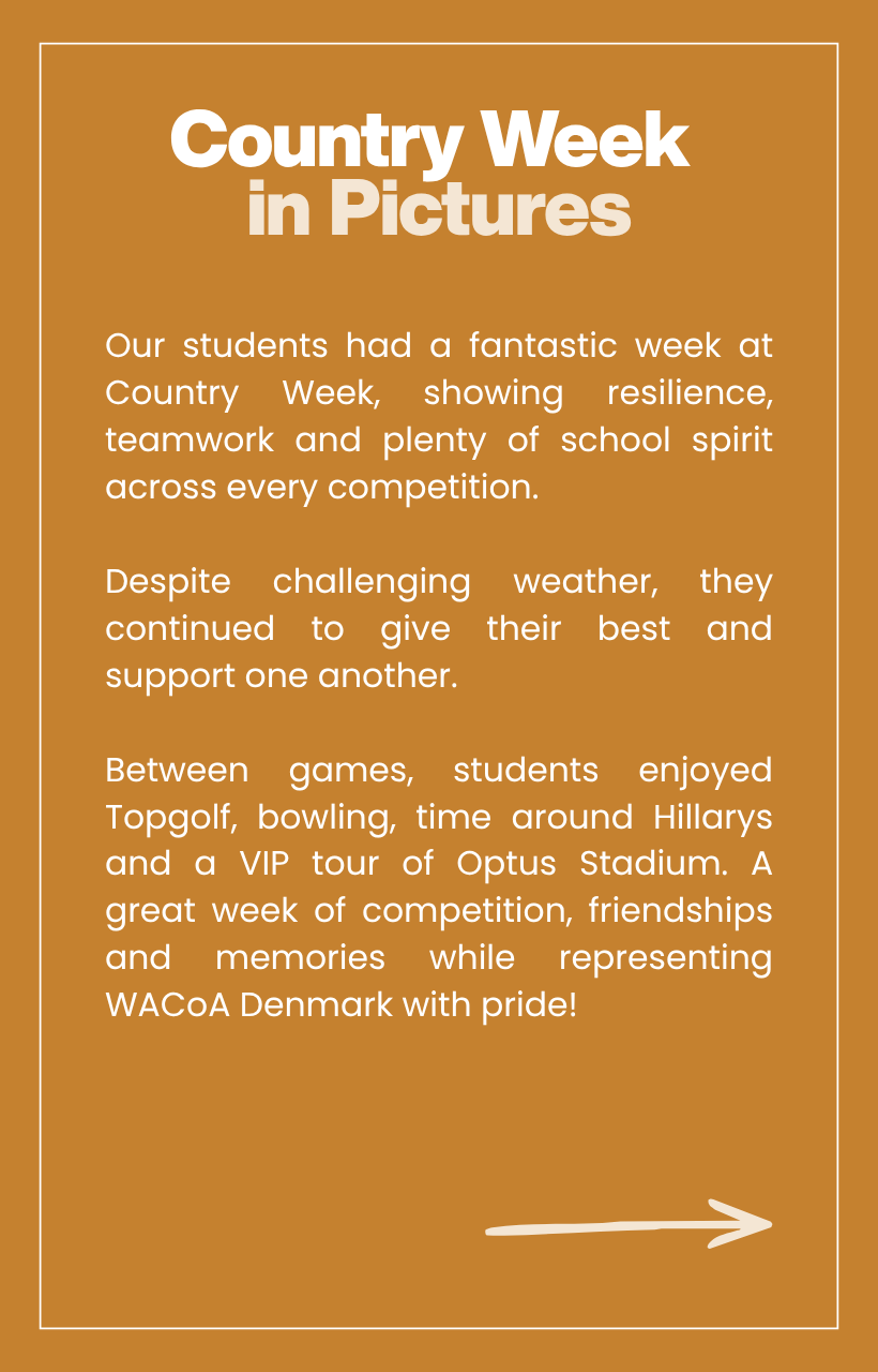 Photo InfoGraphics - Newsletter.png