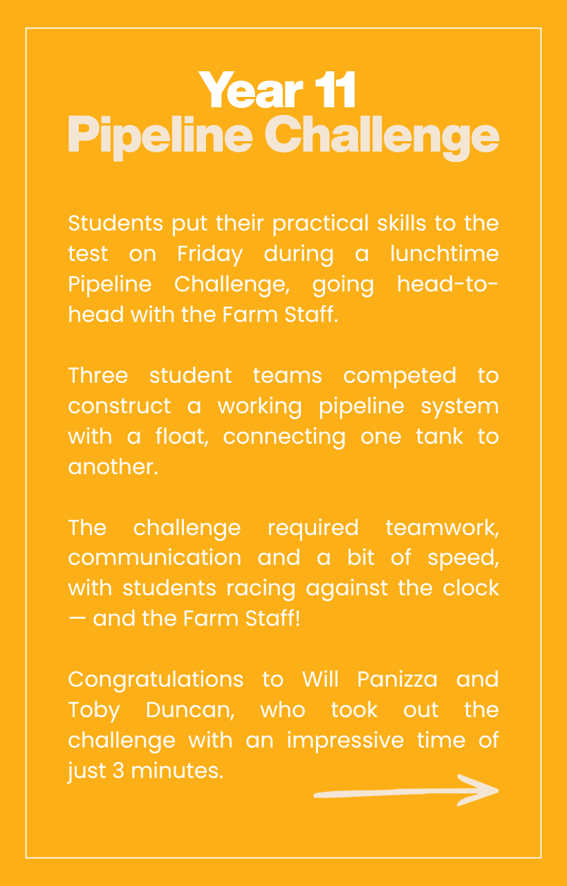 Year 11 Pipeline Challenge.png