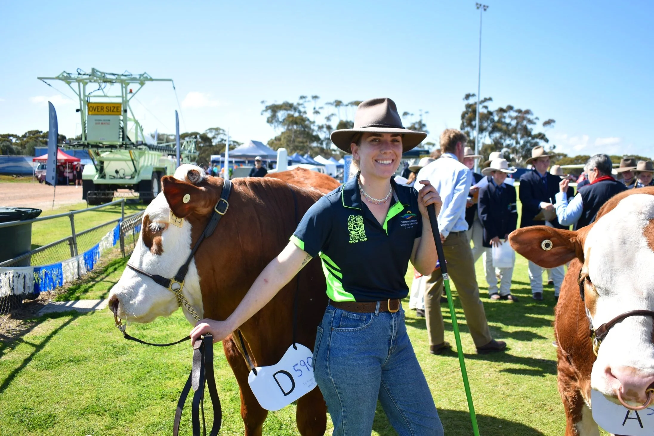 A woman at a livestock show holding a cow by a lead. She is smiling and wearing a hat, green and navy polo shirt, and blue jeans. Other people and livestock are visible in the background on a grassy field, with tents and a large piece of equipment nearby.