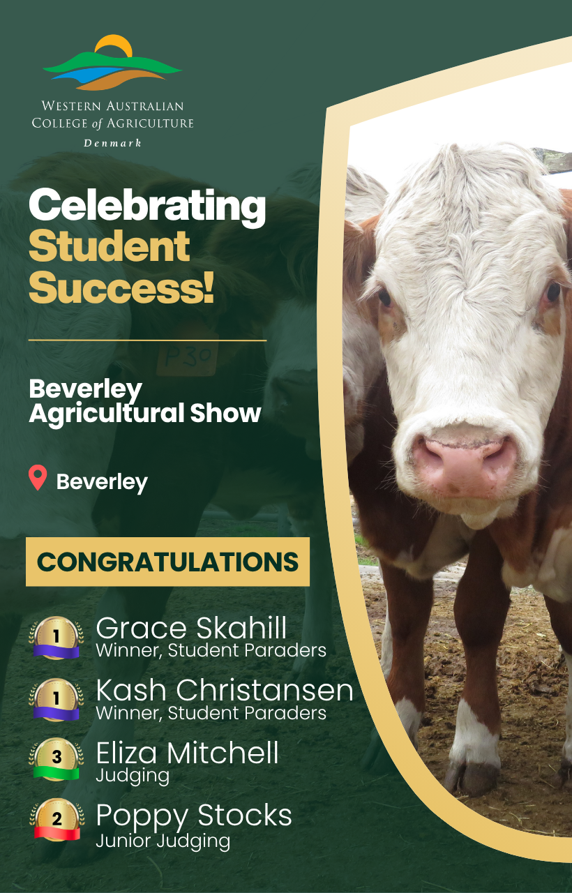 Newsletter 0526 Beverley Show.png