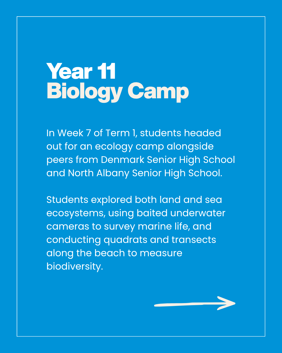 Copy of Newsletter - Corporate.png