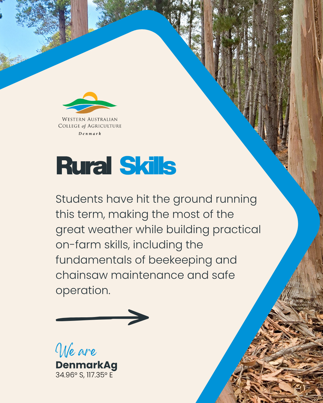 Rural Skills.png