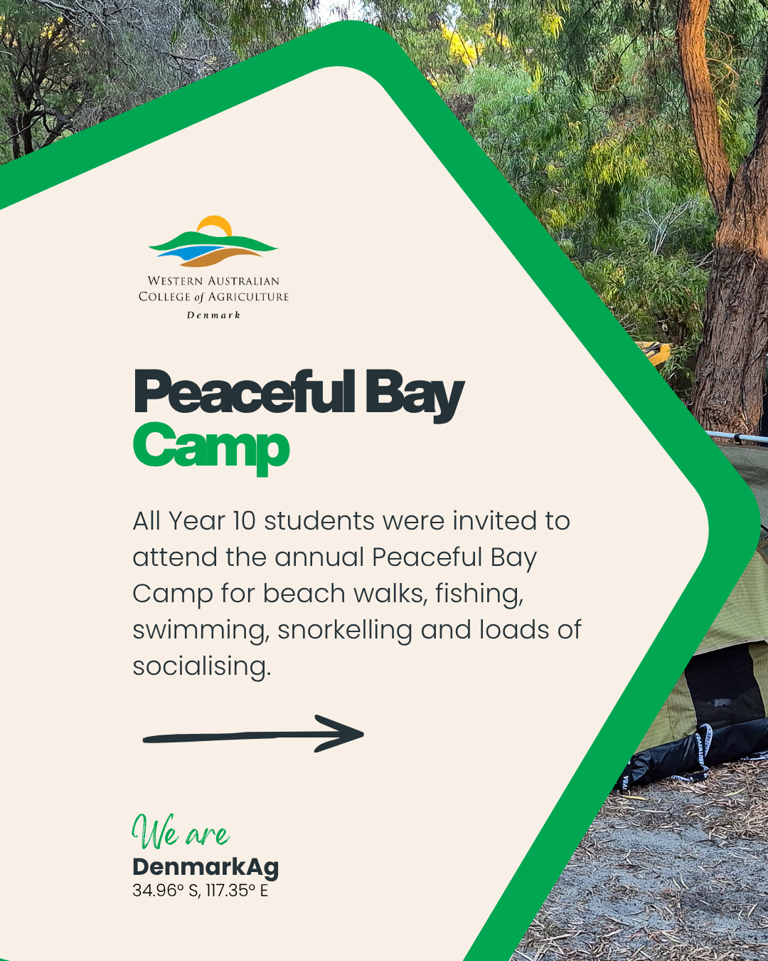 Peaceful Bay Camp 3.png