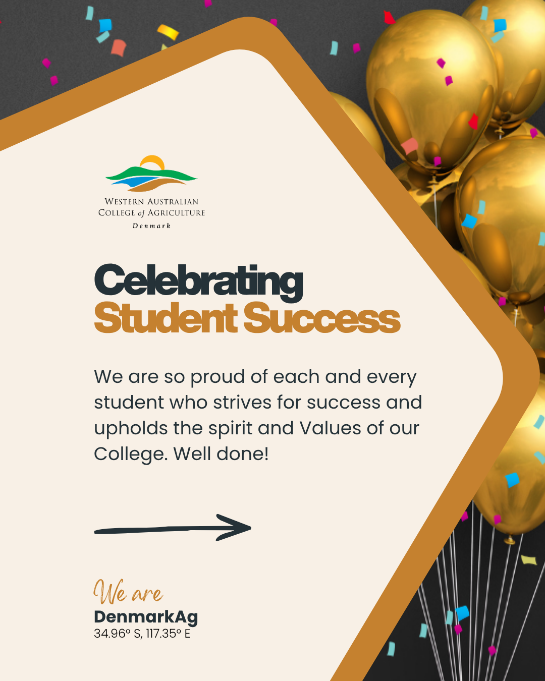 Newsletter - Student Success.png