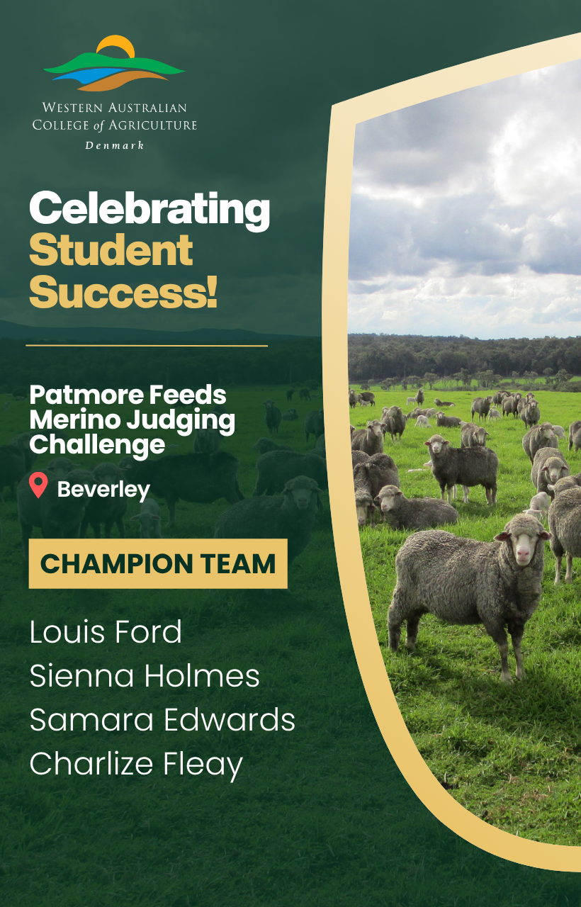 Newsletter 0526 Champion Team Merino Judging Challenge.png