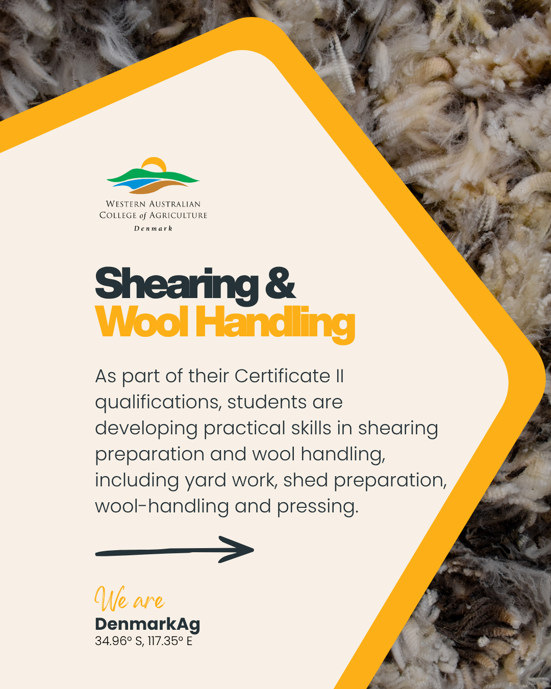 Shearing & Wool Handling.png
