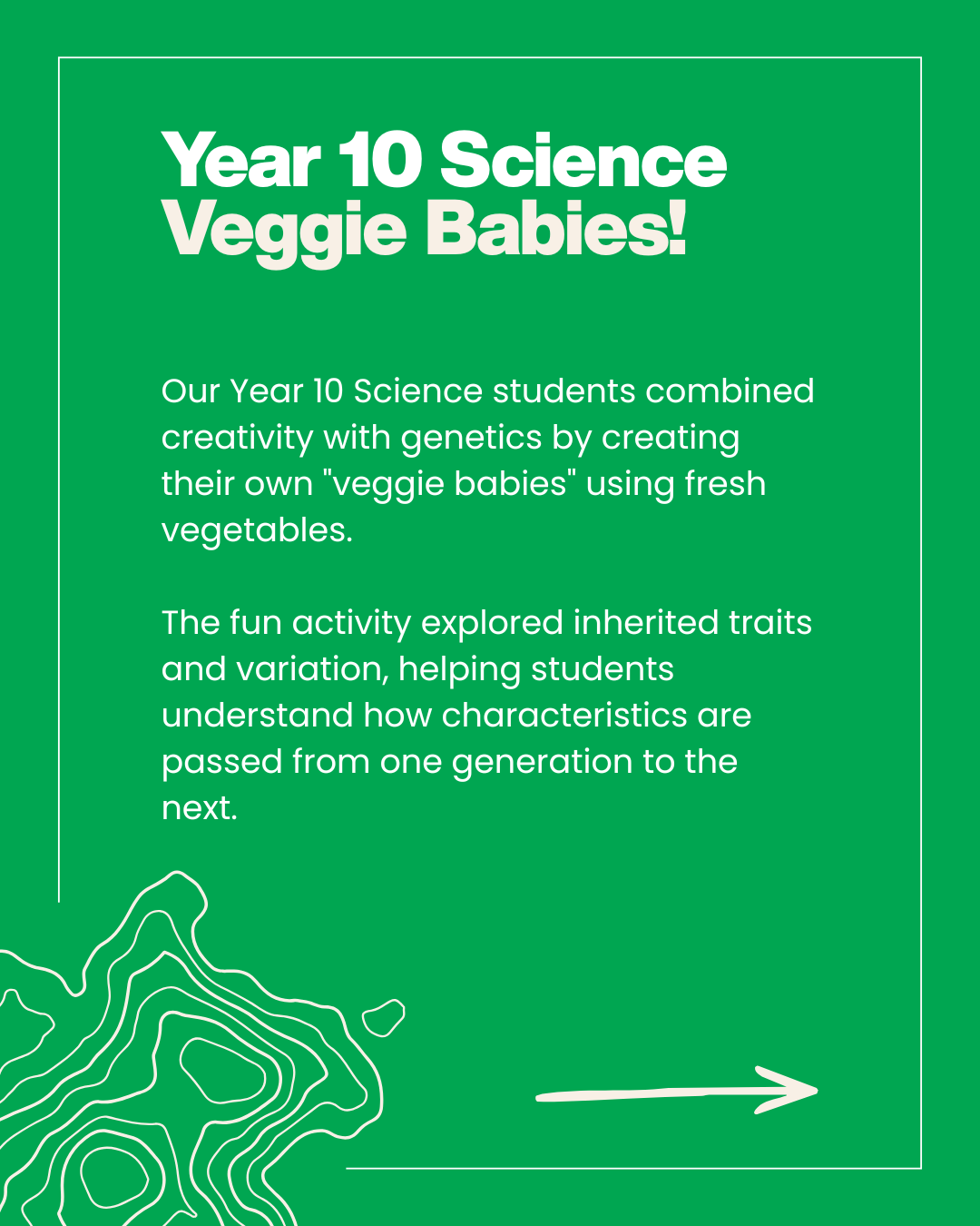 Year 10 Science Veggie Babies.png