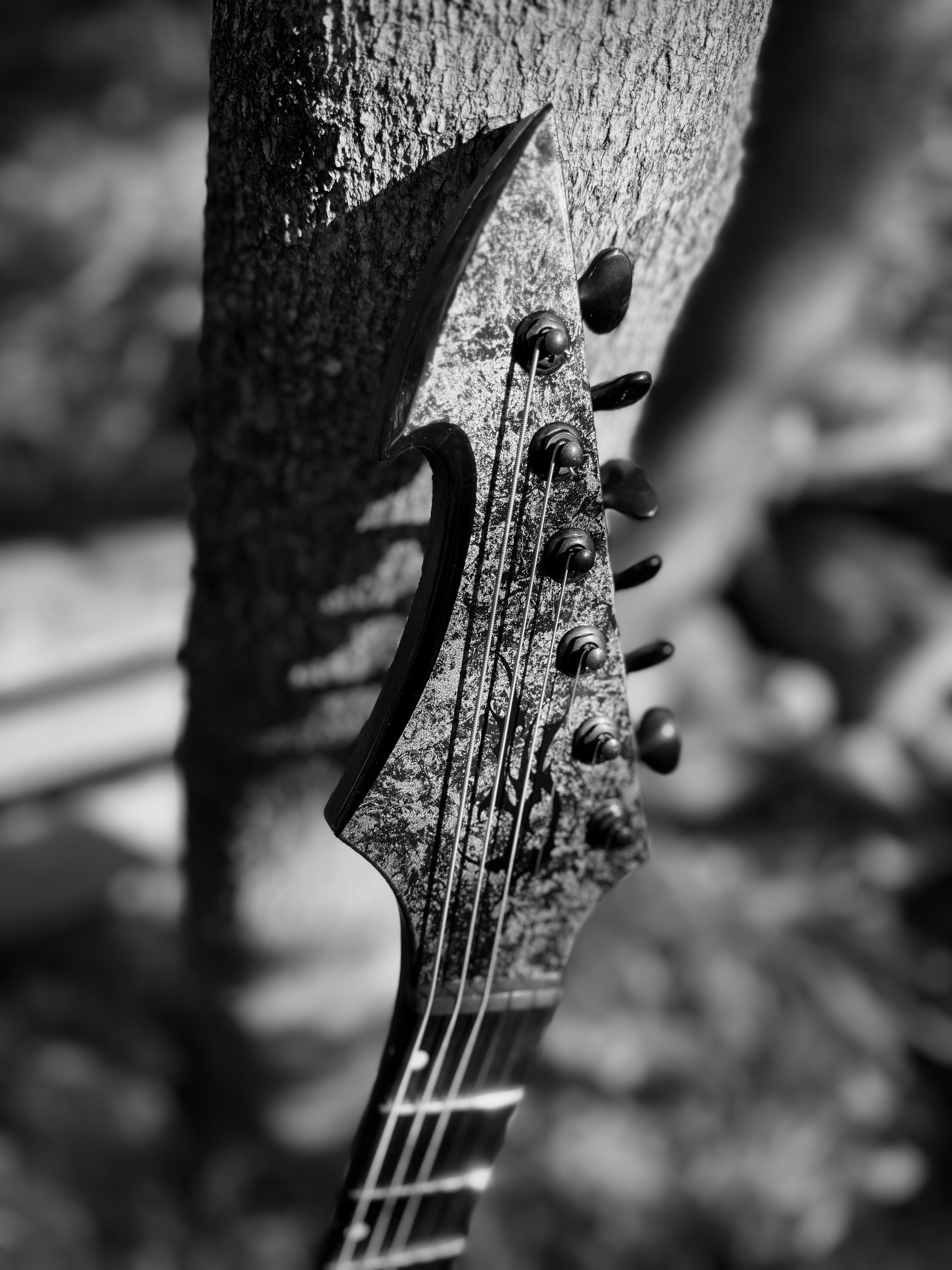 headstock bnw.jpeg