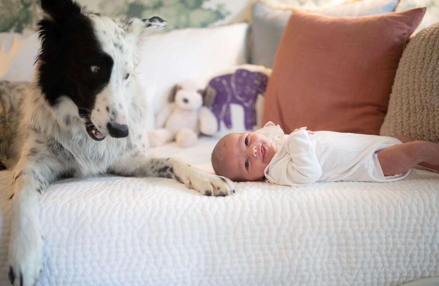 #sanfrancisconewbornphotographer
#sfnewbornphotographer
#sffamilyphotographer
#sfmaternityphotographer
#marinfamilyphotographer
#katiehanrahanphotography

#sanfranciscophotographer #sanfrancisconewbornphotographer #newborn #newbornphotography #katieh