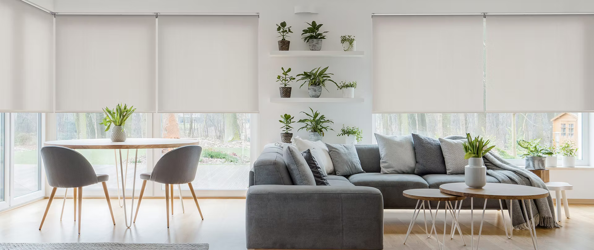 Translucent roller blinds in white across floor-to-ceiling windows in modern Perth open-plan living and dining room diffusing natural light