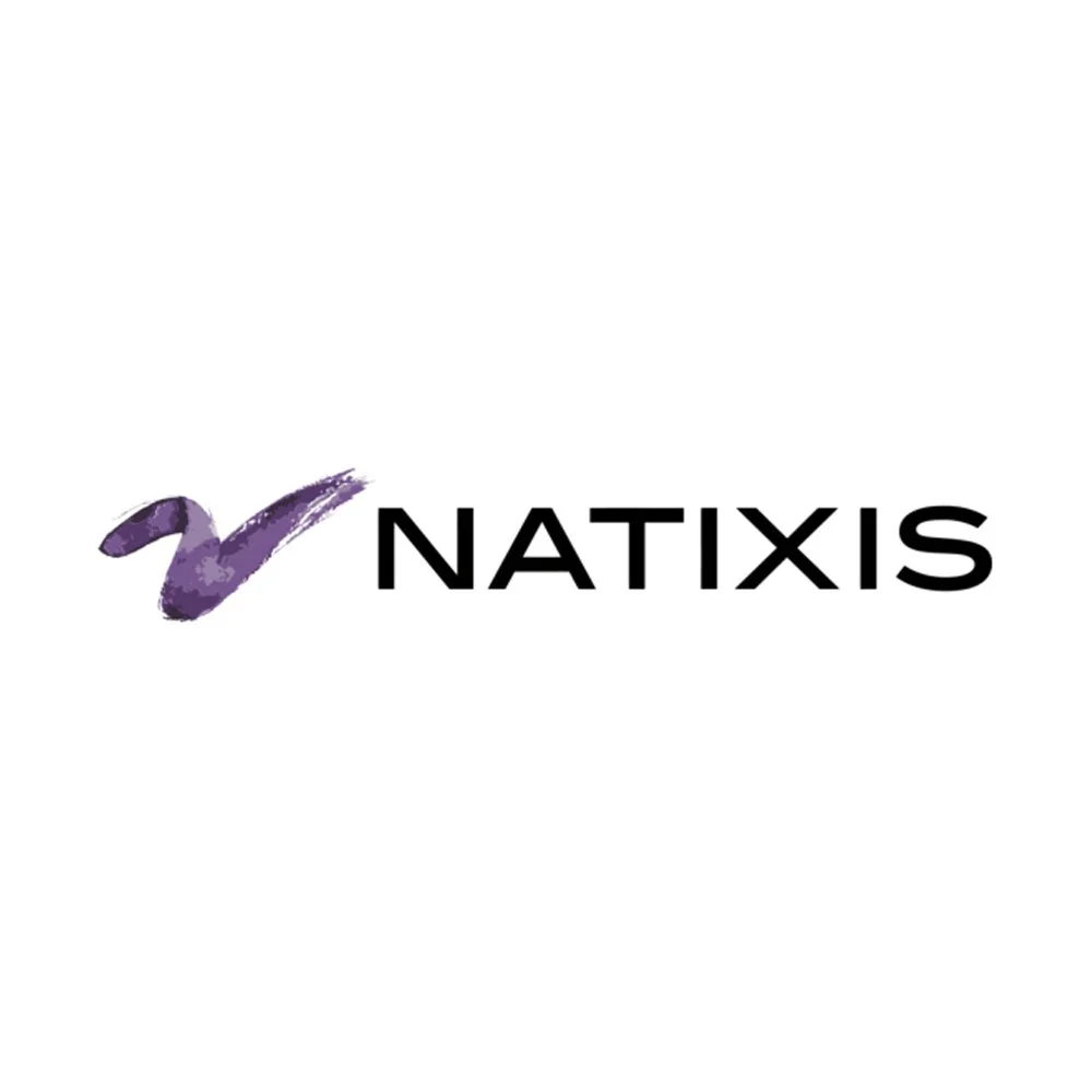 Natixis logo website.jpg