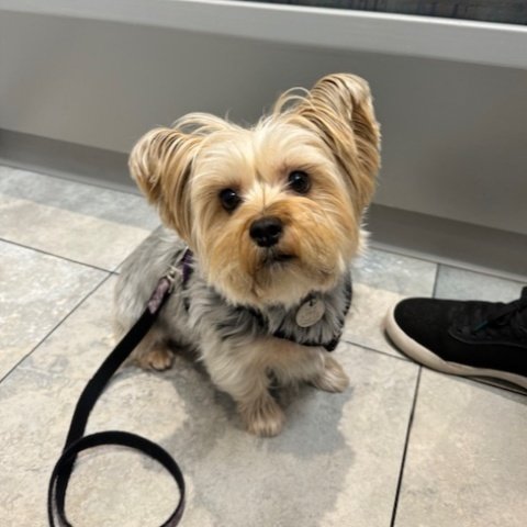 Happy Birthday Luna! 🎂🎉 Thanks for coming to see us on your special day 😍.