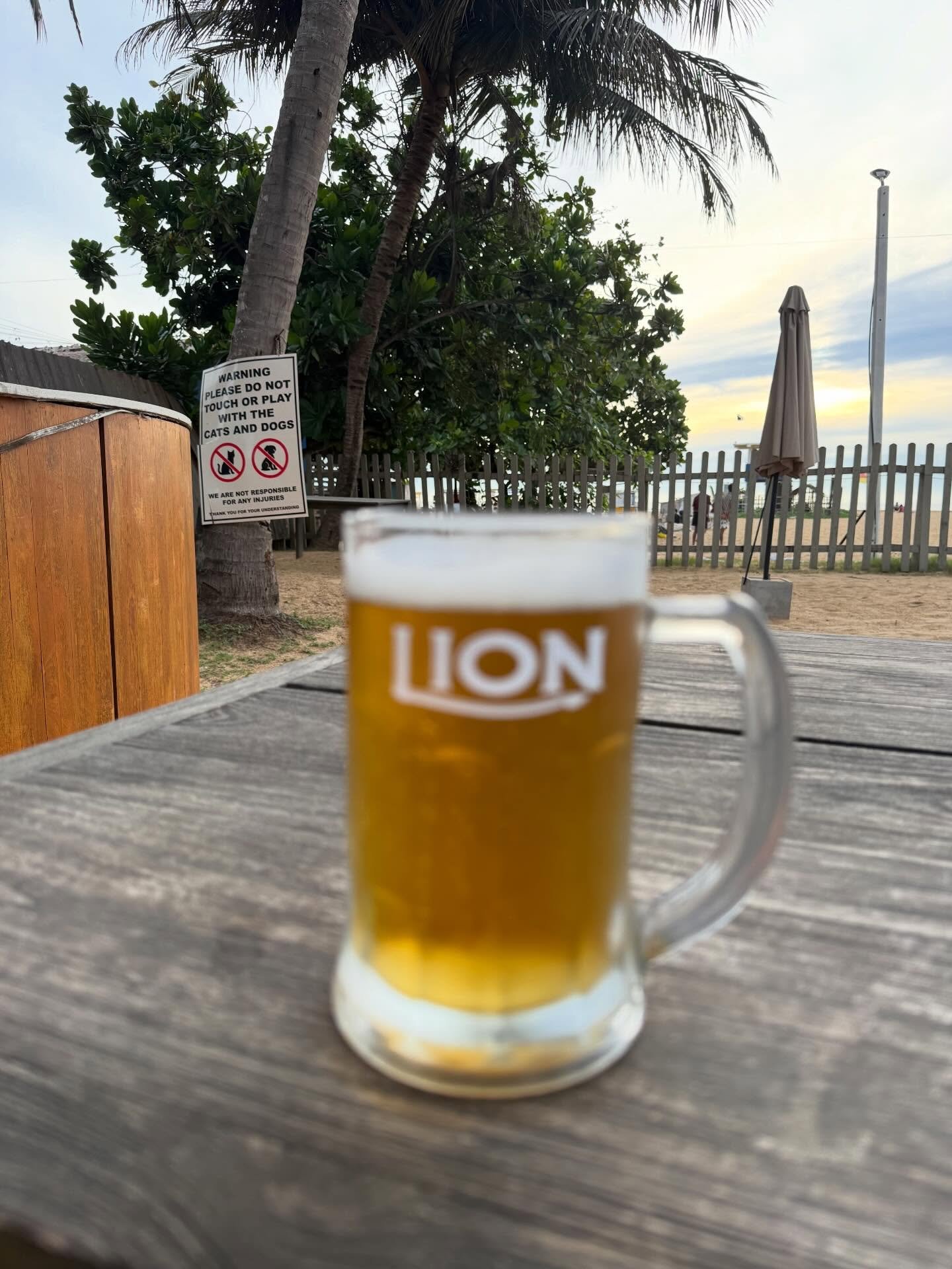 First 24hrs in Sri Lanka 🇱🇰 little bit different to the hair content ✌🏻✌🏻 #srilanka #cinnamonair #negombo #kalkudah @seed__oil ❤️