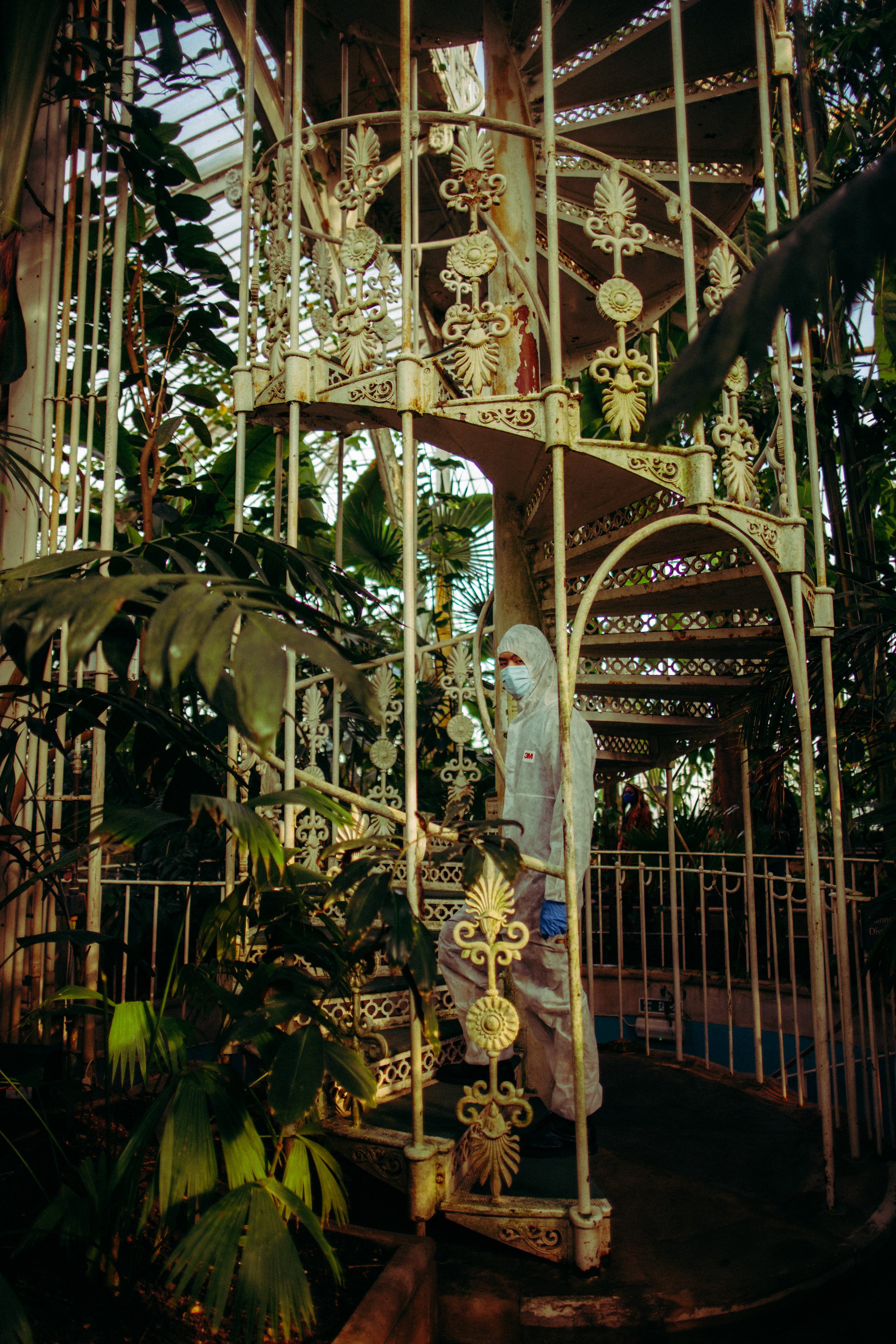 _DSC0883.jpg