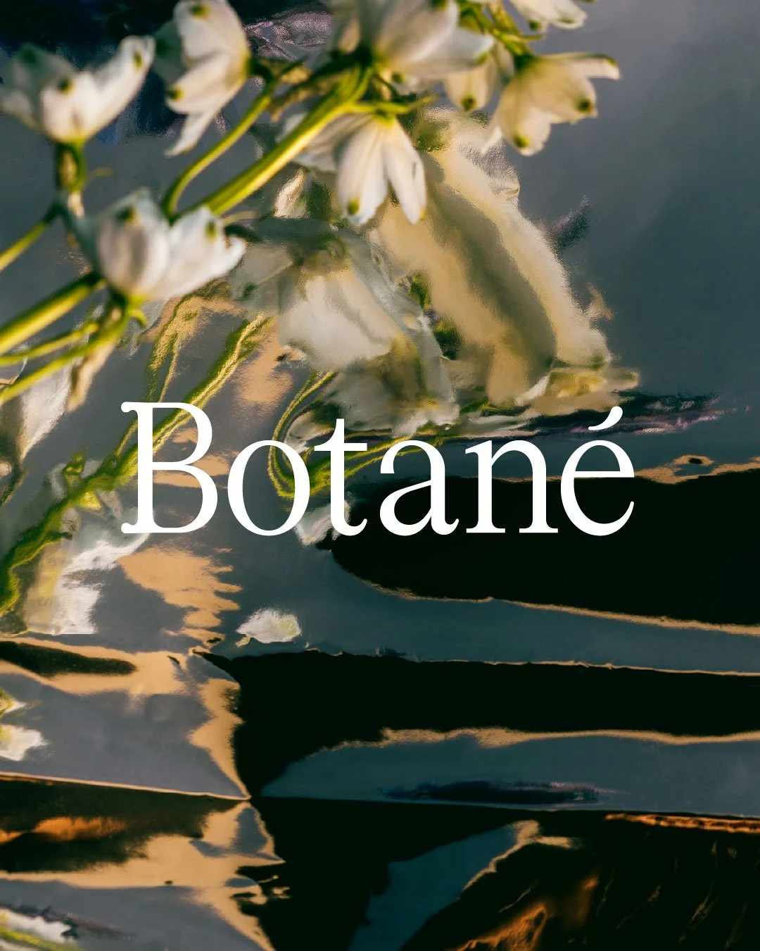 WIP. Bespoke word mark for new restaurant Botan&eacute;.

#brandidentity #graphicdesign