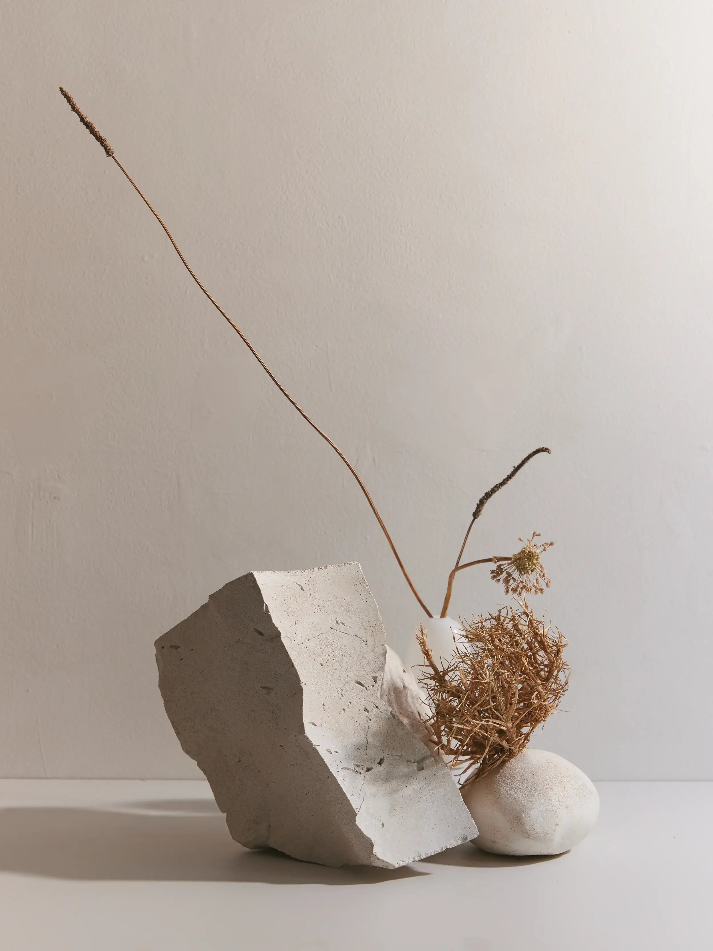 Dried plants arranged in a minimalist white vase, placed on a large white stone, against a neutral wall background.