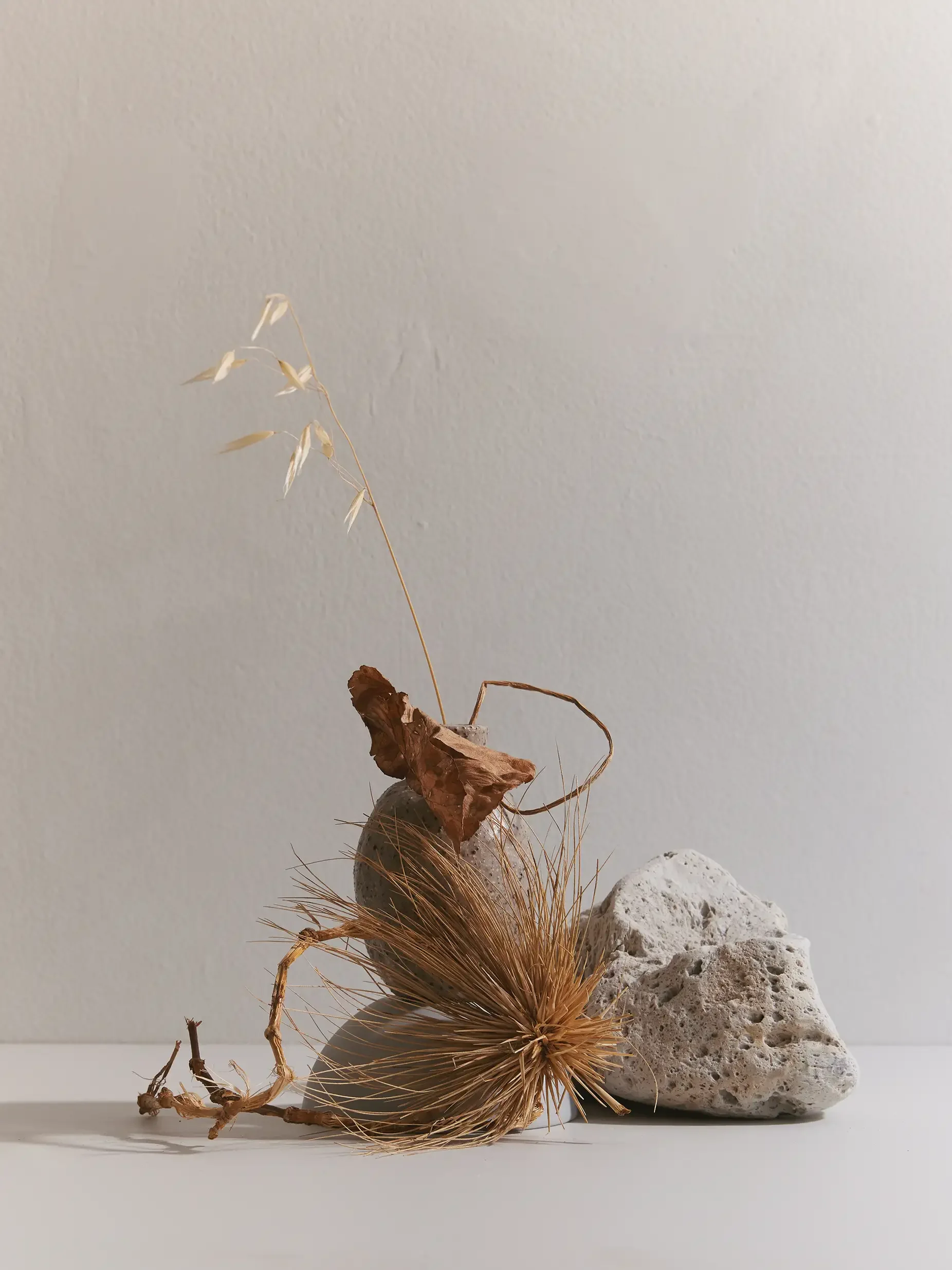 Dried plant with seed pods in a small vase next to rocks, on a white surface against a plain wall.